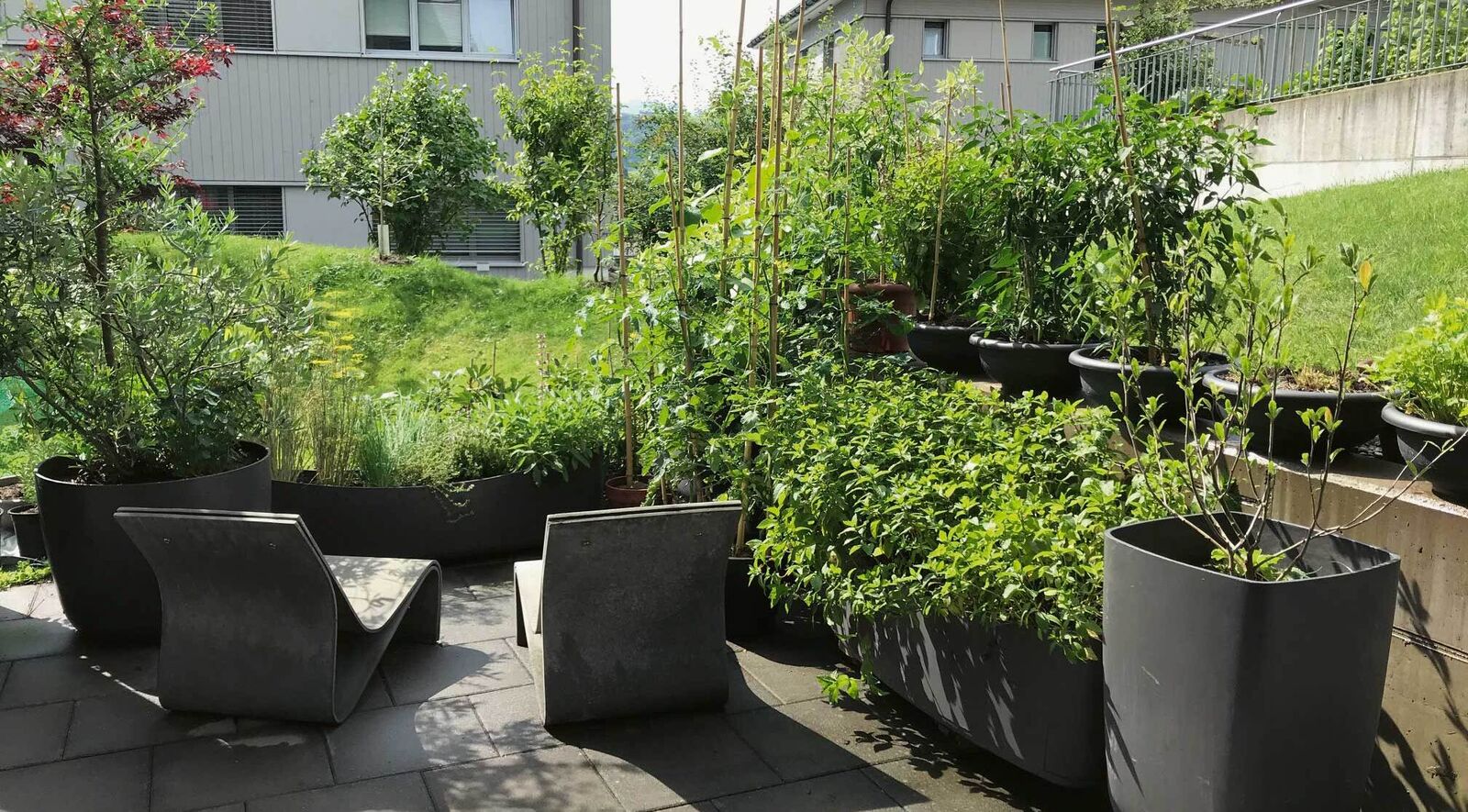 Jeder sonnige, windgeschützte Platz eignet sich für einen Mini-Garten.