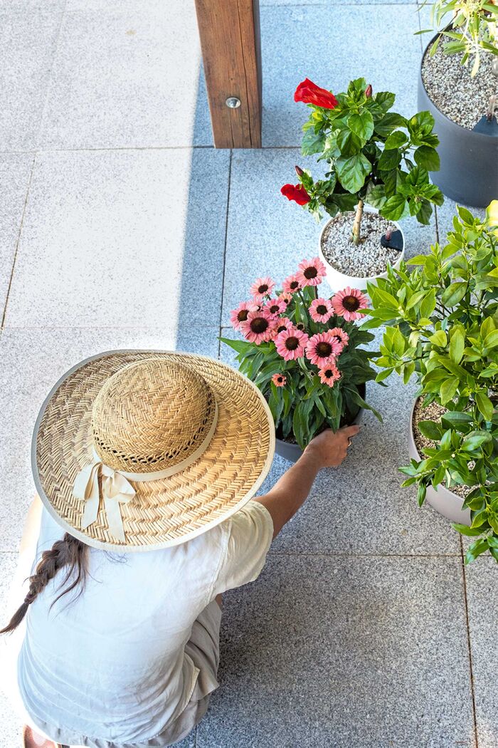 Lechuza bietet Pflanzgefässe mit integriertem Bewässerungssystem. «Es reguliert die Wasserzufuhr zu den Wurzeln, sodass sich die Pflanzen ohne Staunässe stets mit der gewünschten Wassermenge versorgen können», erläutert Pflanzenexpertin Anita Dittmeier. www.lechuza.com