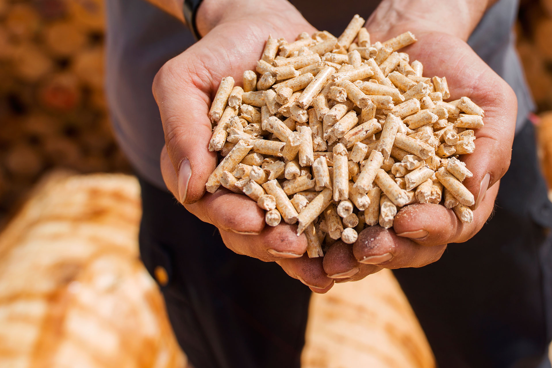Bei Holzpellets macht die Qualität den Unterschied – Das Einfamilienhaus